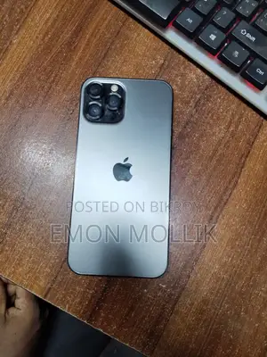 অ্যাপল আইফোন ১২ প্রো ম্যাক্স ১২৮ জিবি গ্রে