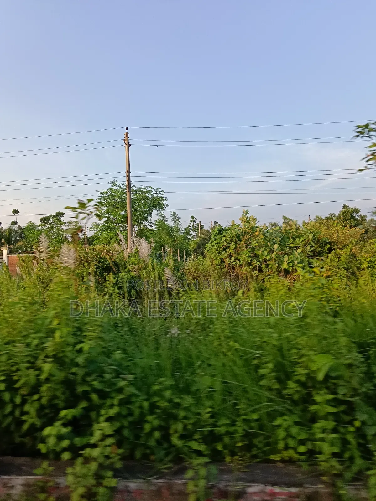সেক্টর ৩, ৩ কাঠা দক্ষিণমুখী প্লট যার দক্ষিণে খোলা মাঠ
