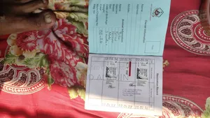 ৩-৬ মাসের পুরুষ খাঁটি পার্সিয়ান