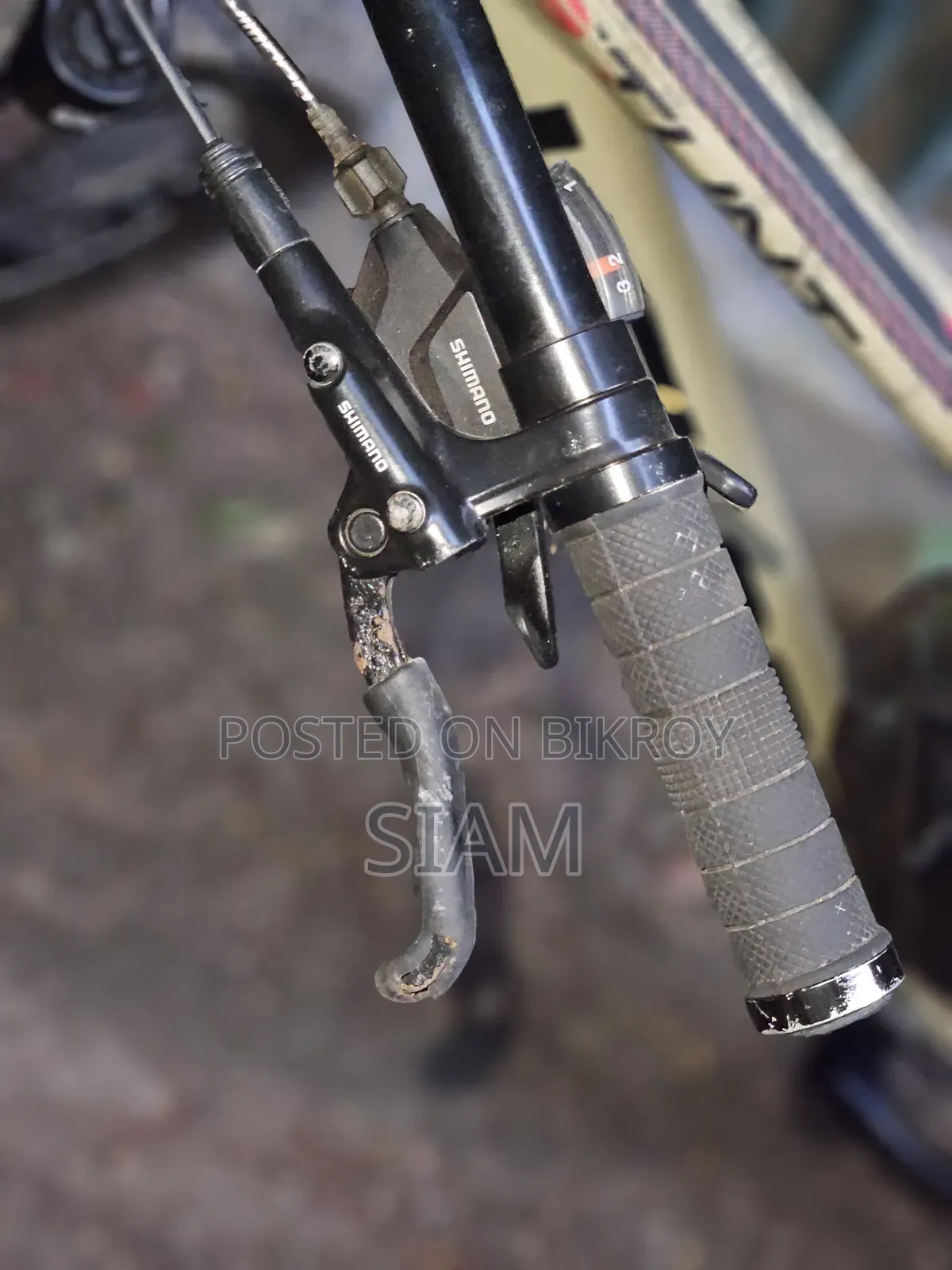Veloce Stunt Elite - Oil Brake Customize Cycle for Sale