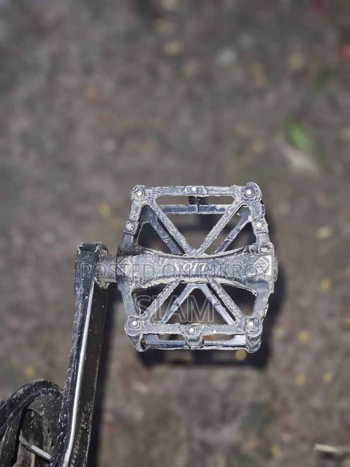Veloce Stunt Elite - Oil Brake Customize Cycle for Sale