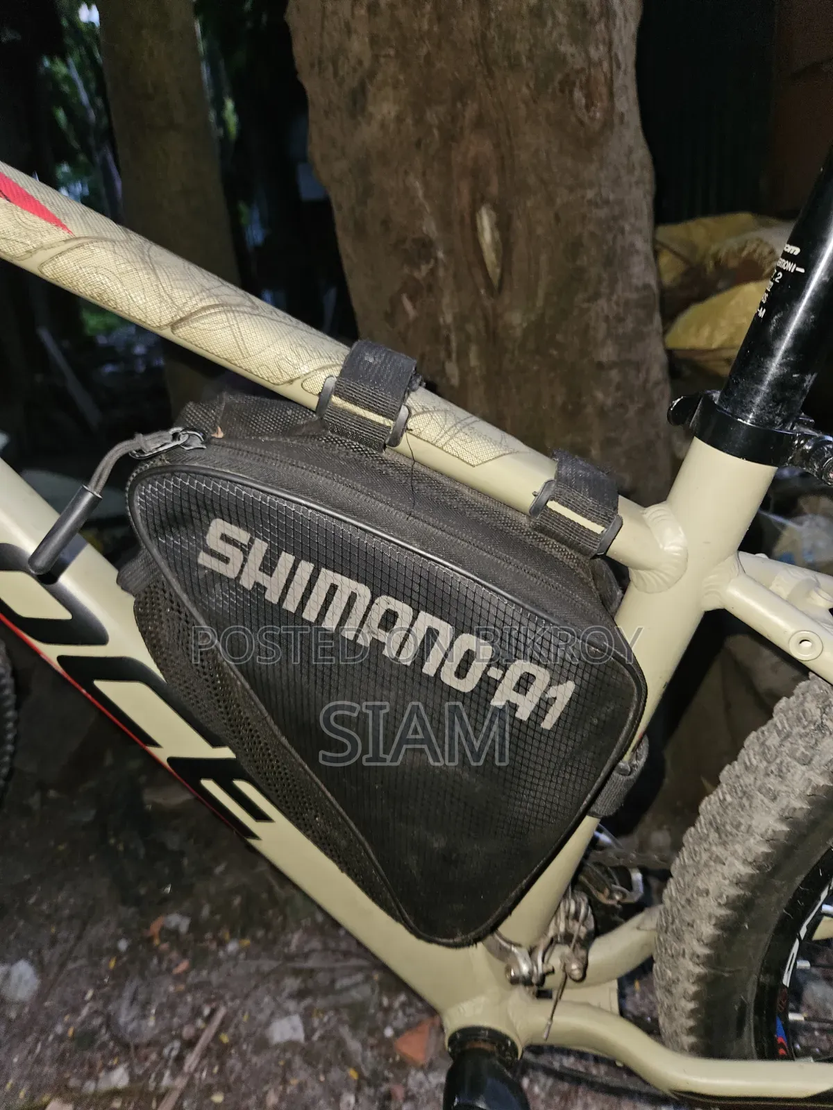 Veloce Stunt Elite - Oil Brake Customize Cycle for Sale