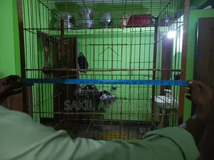 Cage for sale.
