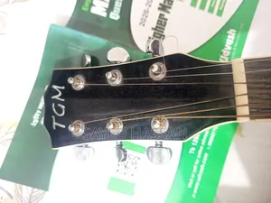 TGM Guitar