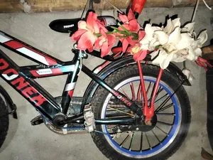 Bicycle Sale