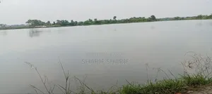 ভ্যান বিক্রি