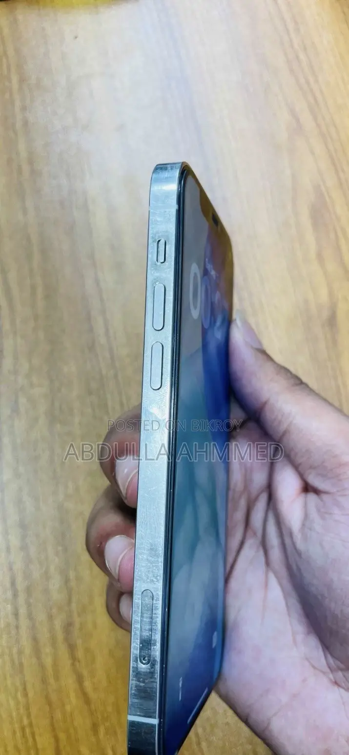 Apple iPhone 12 Pro 256 GB Silver