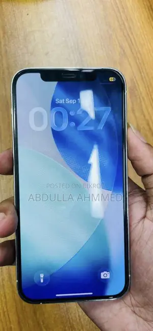 Apple iPhone 12 Pro 256 GB Silver