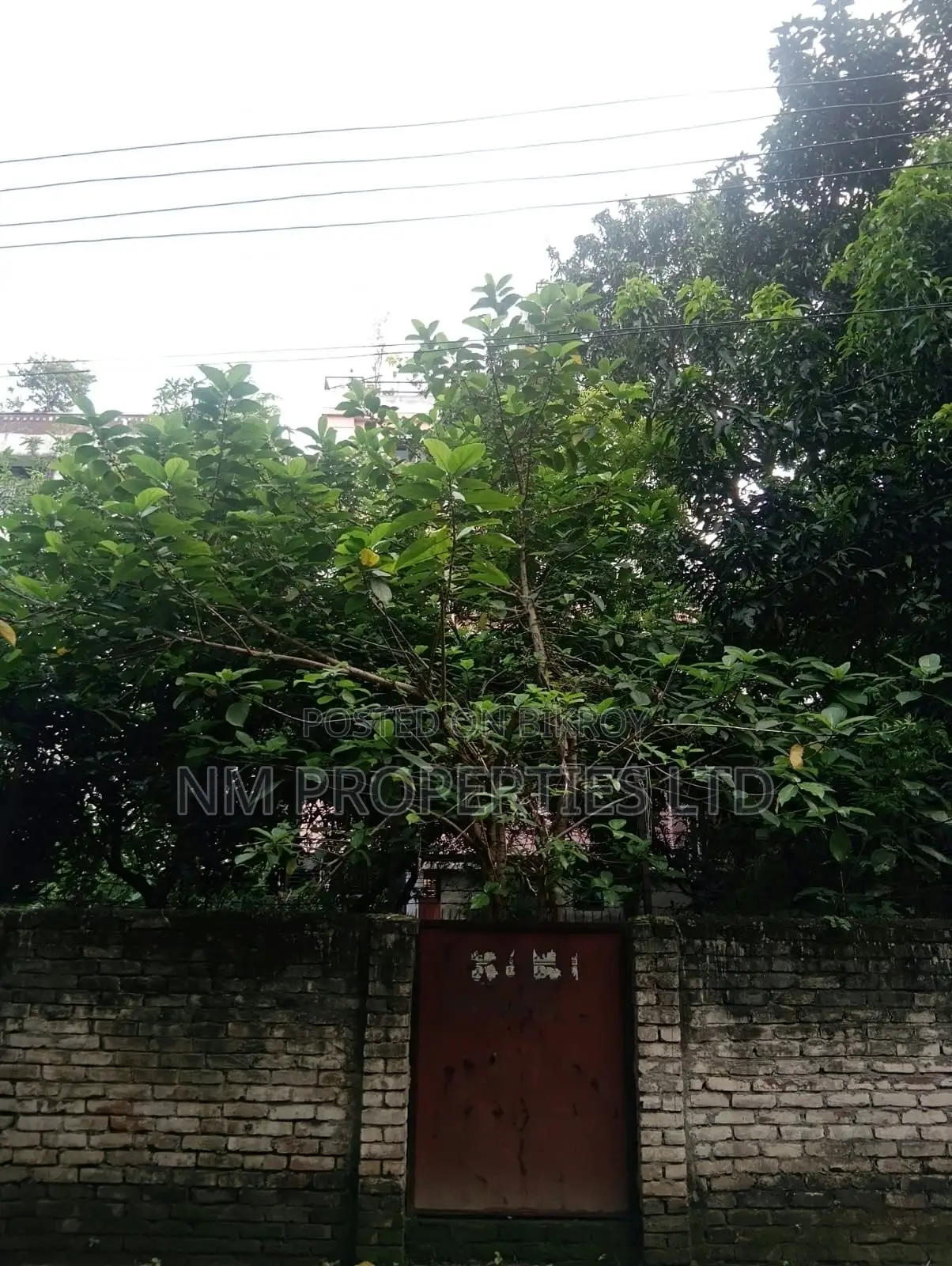 নূরানী হাউজিং মিল্ক ভিটা ৭ কাঠা প্লট বিক্রয় কর্নার প্লট