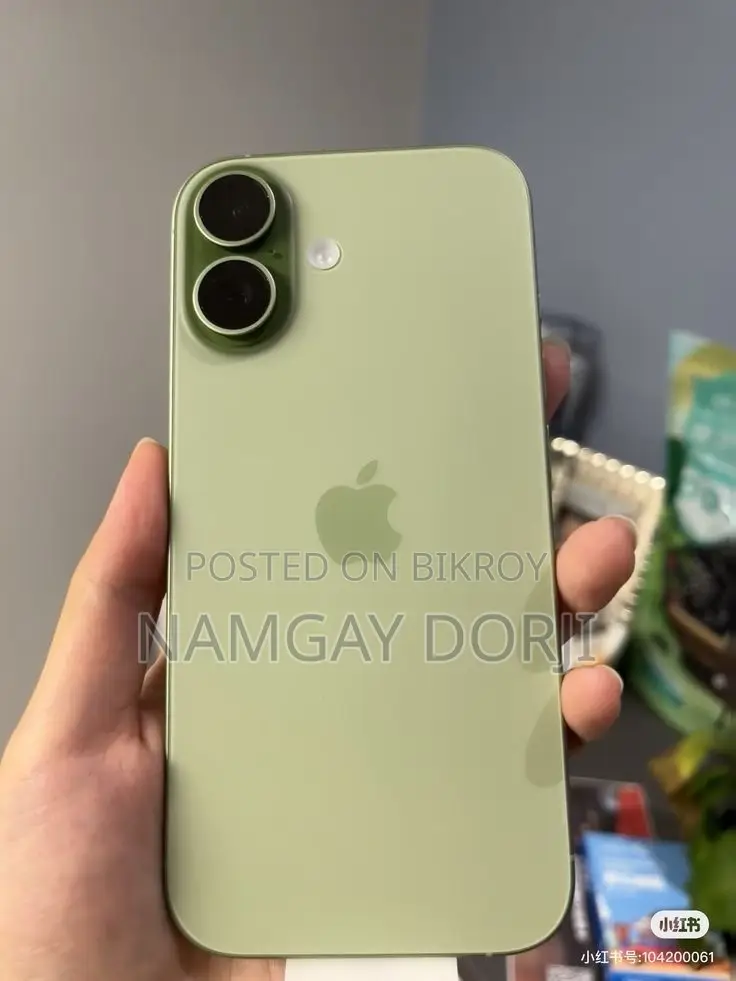 Apple iPhone 17 256 GB Green