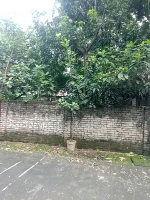 নূরানী হাউজিং মিল্ক ভিটা ৭ কাঠা প্লট বিক্রয় কর্নার প্লট