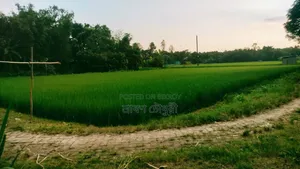 ইমারজেন্সী রাস্তার সাথে ৩০ শতাংশ জমি বিক্রি করা হবে।