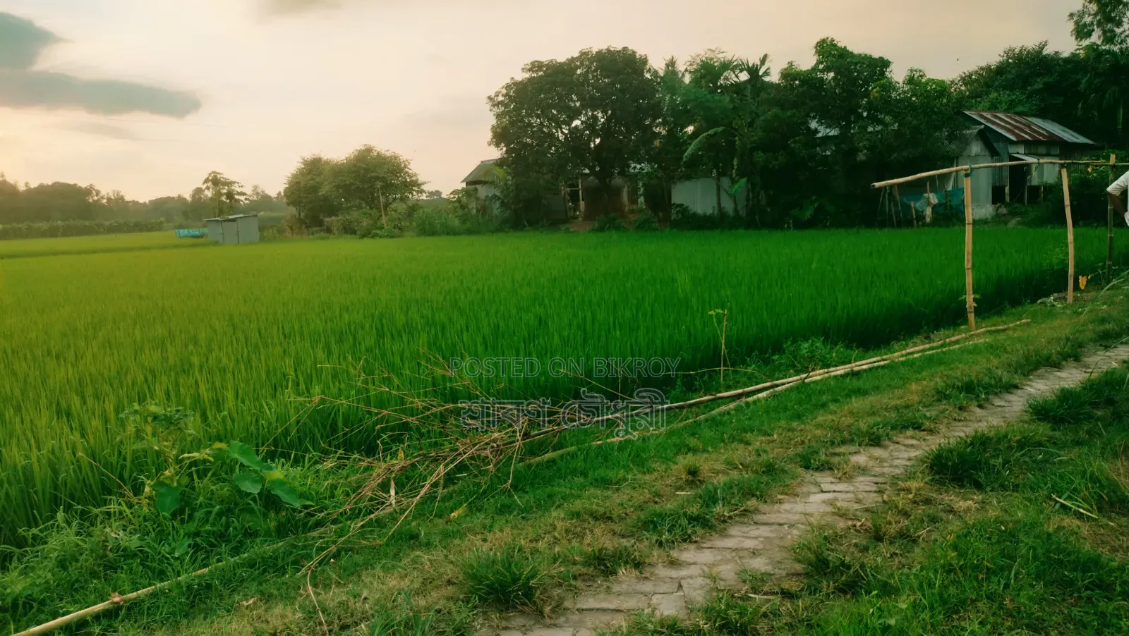 ইমারজেন্সী রাস্তার সাথে ৩০ শতাংশ জমি বিক্রি করা হবে।