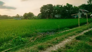 ইমারজেন্সী রাস্তার সাথে ৩০ শতাংশ জমি বিক্রি করা হবে।