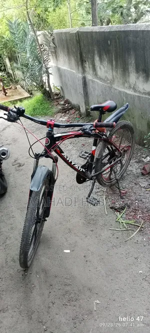 A Completely Fresh Gear Bicycle