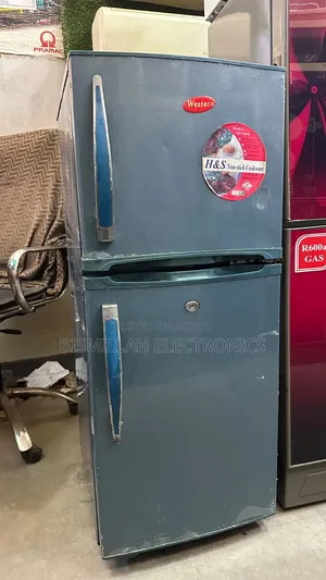 Western 10 CFT Refrigerator