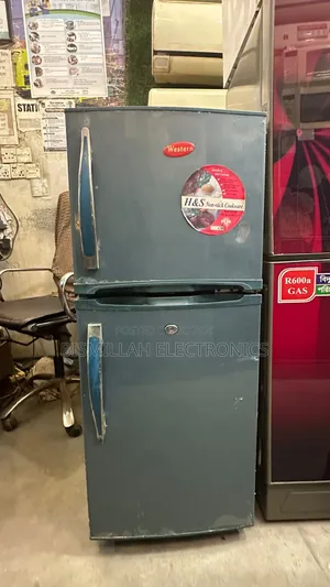 Western 10 CFT Refrigerator