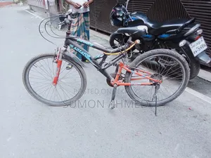 Old Cycles