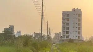 Photo - Plot Price in Bashundhara N Block 5 Katha