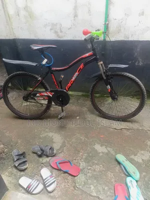 Will sell the bicycle.