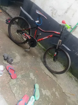 Will sell the bicycle.