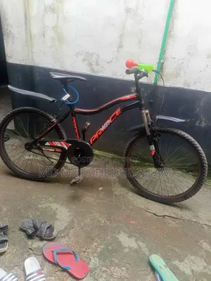 Will sell the bicycle.