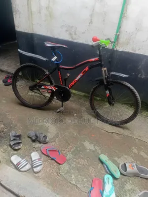 Will sell the bicycle.