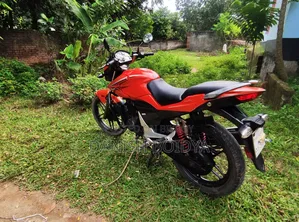 Hero Xtreme Sports 2017 Orange