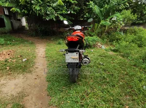 Hero Xtreme Sports 2017 Orange