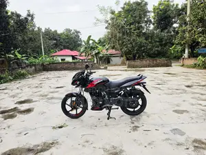 Bajaj Pulsar 150 2024 Black