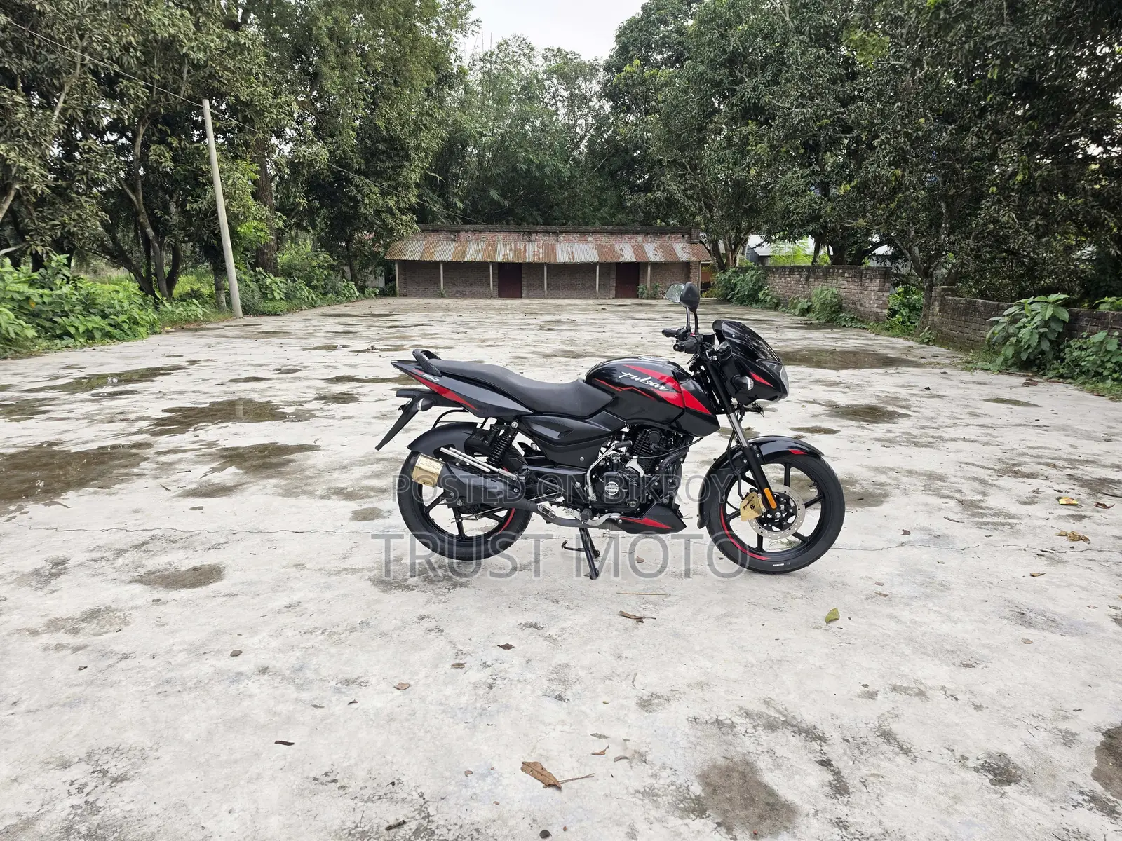 Bajaj Pulsar 150 2024 Black