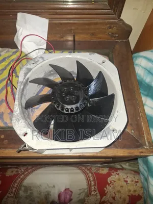একজস্ট ফেন