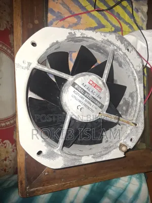 একজস্ট ফেন