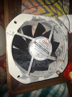 একজস্ট ফেন