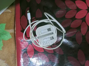 আই ফোনের অরজিনাল চার্জার