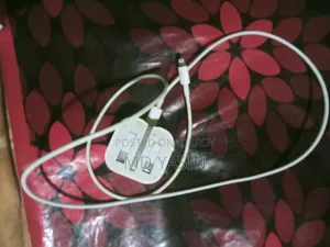আই ফোনের অরজিনাল চার্জার
