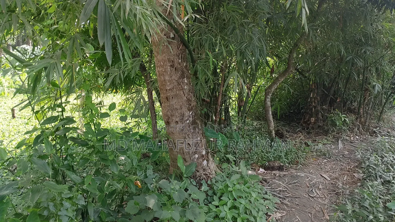 জমি বিক্রি করা হবে