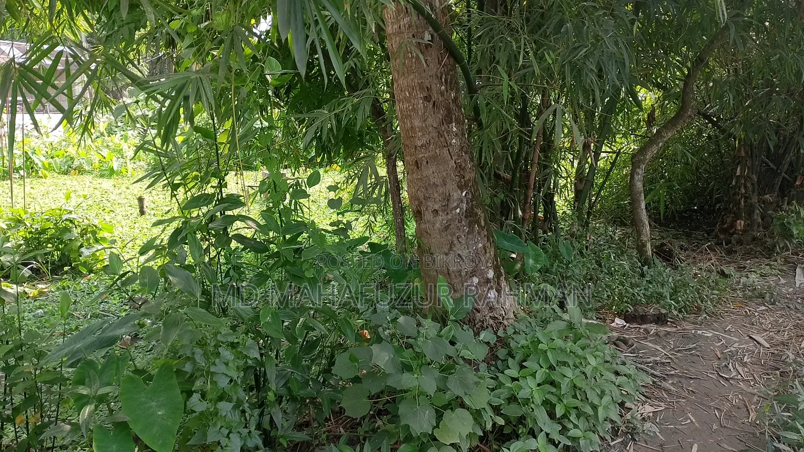 জমি বিক্রি করা হবে