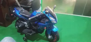 R15 Electric Bike