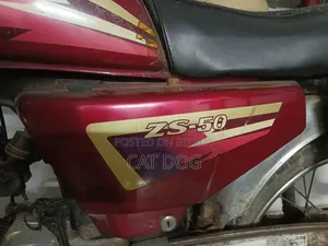 Zongshen ZS 50 2018 Red