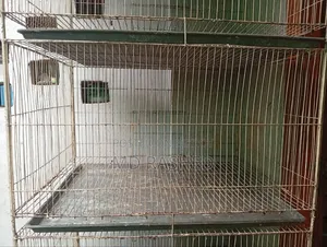 ২৪"/১৮" খাঁচা