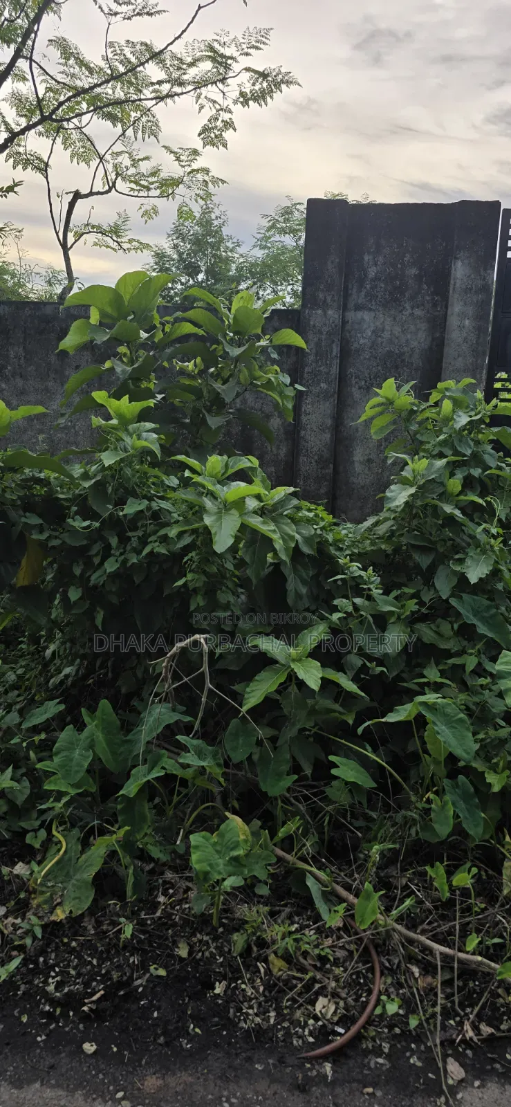 রাজউক পূর্বাচল সেক্টর -৯, দক্ষিণমুখী প্লট বিক্রয়