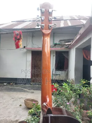 Deviser L770 একাউস্টিক গিটার