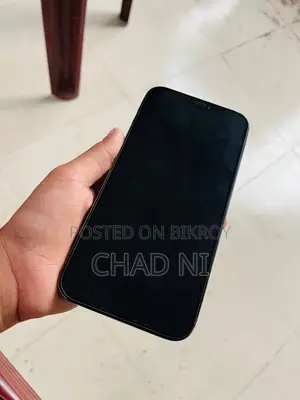 অ্যাপল আইফোন ১২ প্রো ম্যাক্স ১২৮ জিবি ব্লু