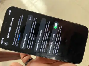 অ্যাপল আইফোন ১২ প্রো ম্যাক্স ১২৮ জিবি ব্লু