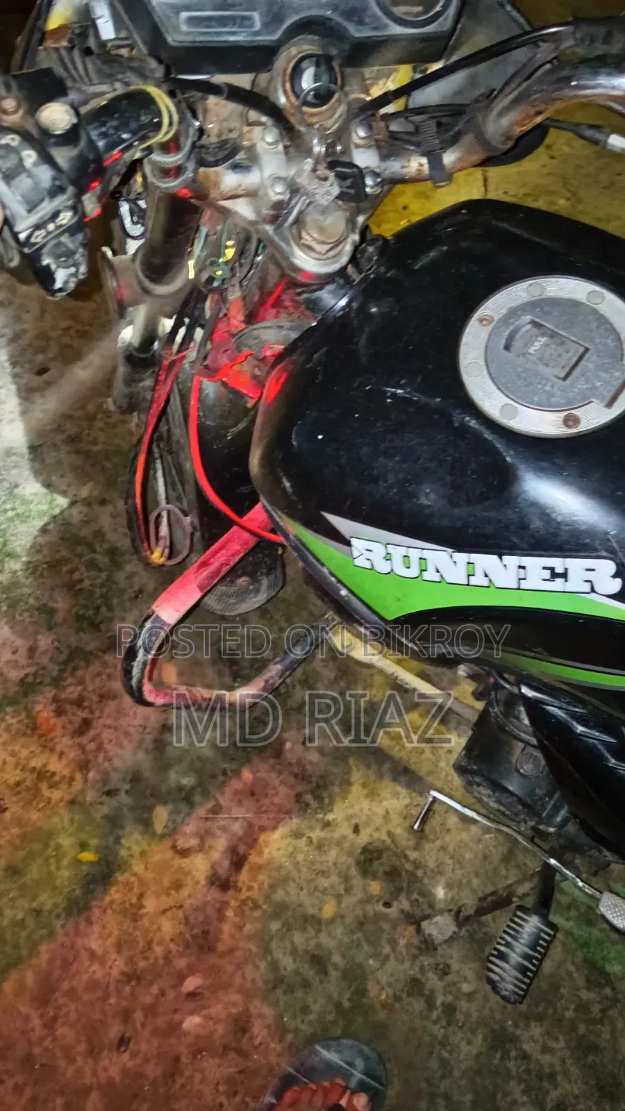 Runner Cheeta 100 2019 Green