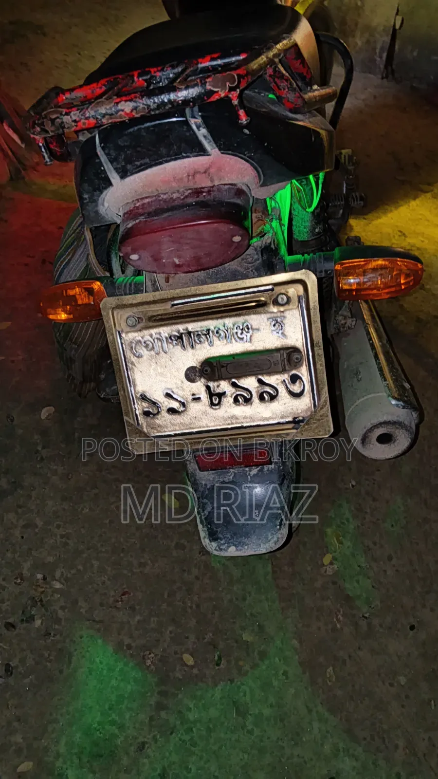 Runner Cheeta 100 2019 Green