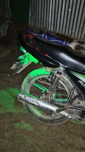 Runner Cheeta 100 2019 Green