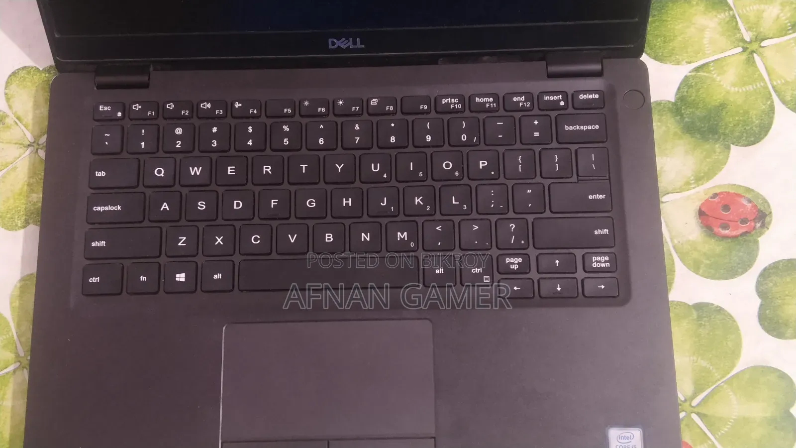Laptop Dell Latitude 5300 16GB Intel Core i5 SSD 256GB
