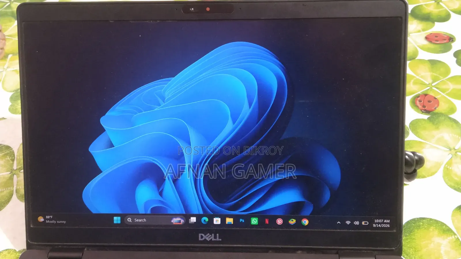 Laptop Dell Latitude 5300 16GB Intel Core i5 SSD 256GB